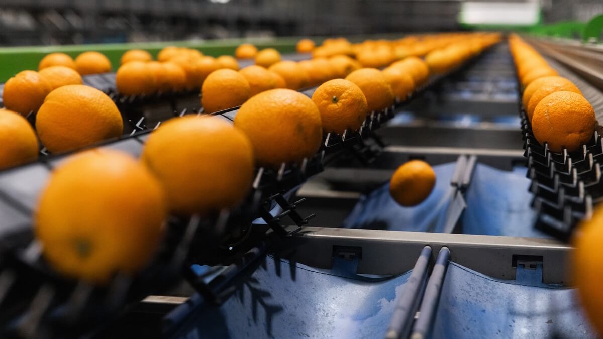 MAF RODA Tecnología con IA y robótica para el Sector de Cítricos.jpg